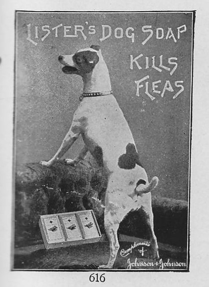 Ad for Lister's Dog Soap, 1914