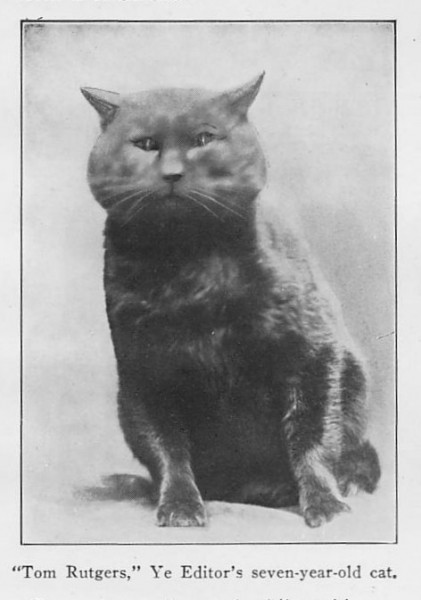 Another innovative first:  we apparently created the first published cat meme, courtesy of Fred Kilmer and his cat, Tom Rutgers.