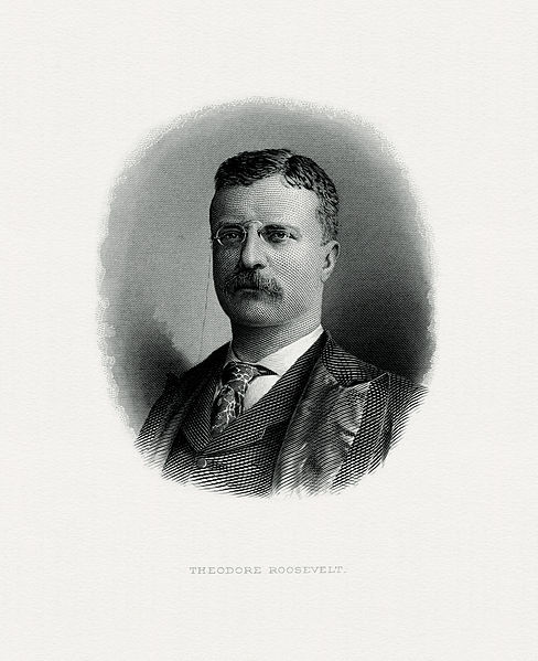 Theodore Roosevelt, public domain engraving by the U.S. Bureau of Engraving and Printing, courtesy of Wikimedia Commons, at this link: https://en.wikipedia.org/wiki/File:ROOSEVELT,_Theodore-President_%28BEP_engraved_portrait%29.jpg