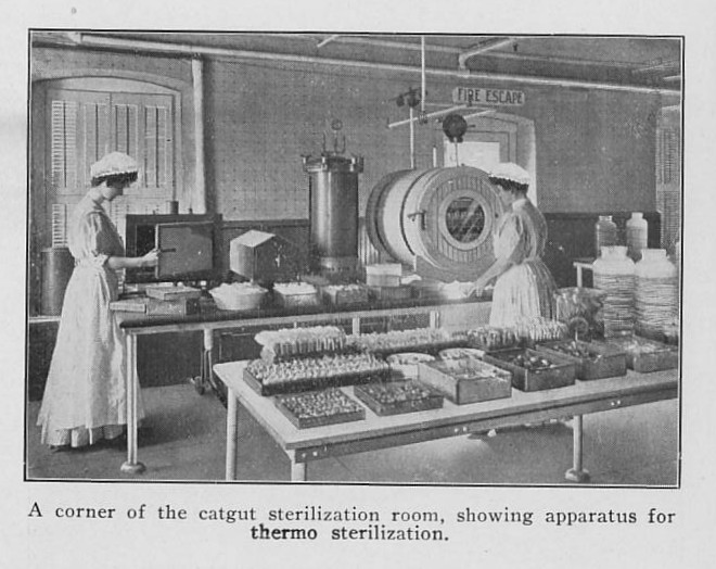 1917-ligature-sterilization