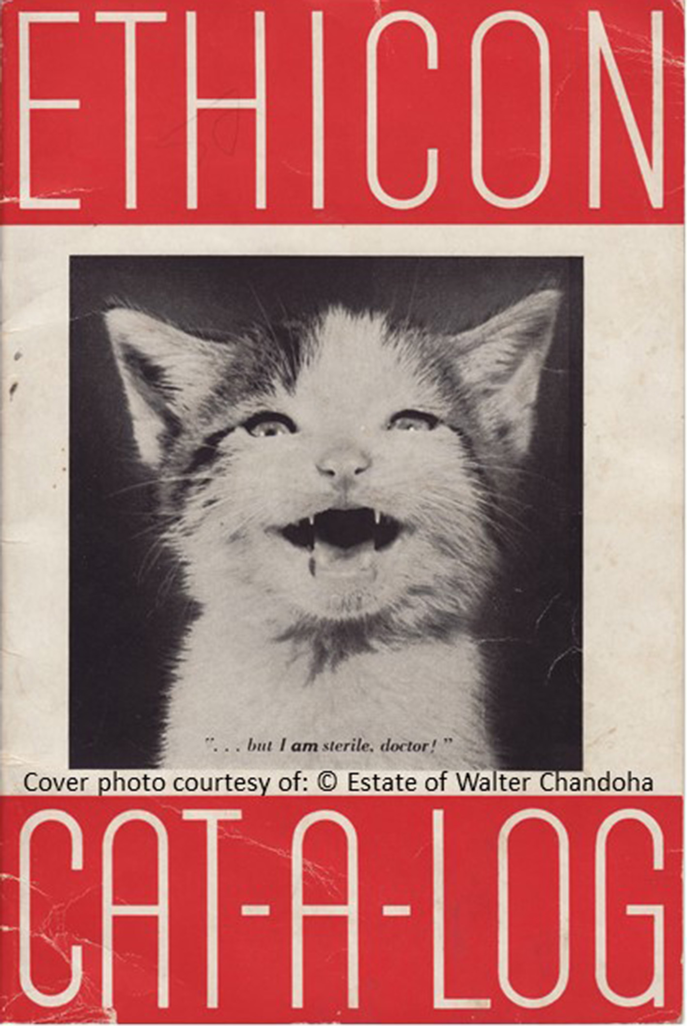 ETHICON Cat-a-Log. Cover Photo Credit:  © Estate of Walter Chandoha. 